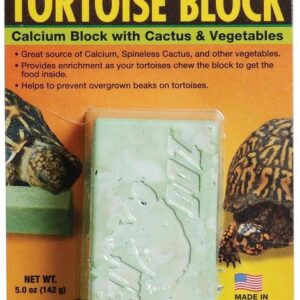 Zoomed Tortoise Block Calcium